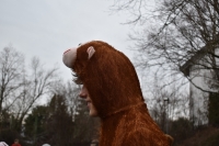 Faschingsparty 2024